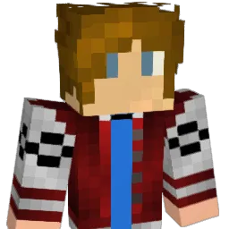 zx8700025 Minecraft avatar bust