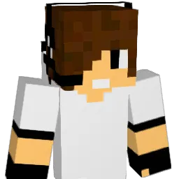 zx9001 Minecraft avatar bust