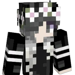 zxc0454 Minecraft avatar bust