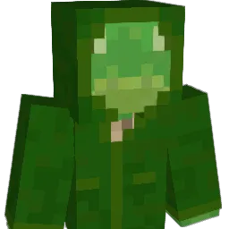 zxz480 Minecraft avatar bust