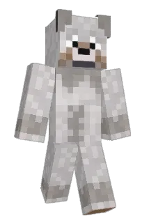00Duder Minecraft avatar full body