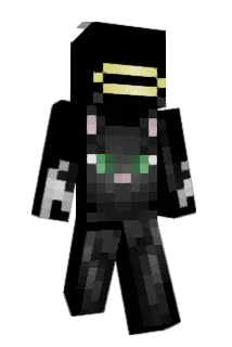 00Ryan00 Minecraft avatar full body