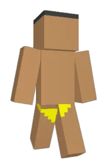 00VWV00 Minecraft avatar full body
