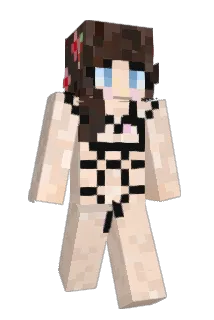 00_000_000_ Minecraft avatar full body