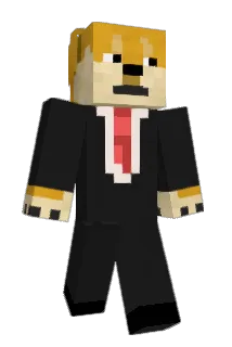 010101900 Minecraft avatar full body