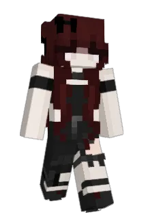 011001100 Minecraft avatar full body