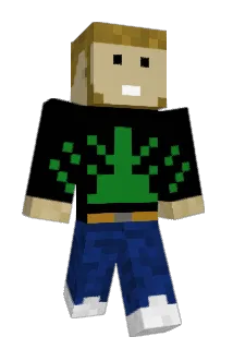 01ddd01 Minecraft avatar full body