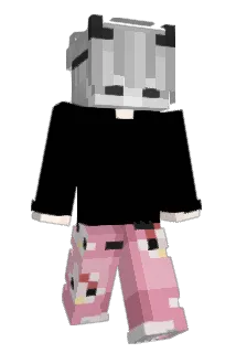01xNov Minecraft avatar full body