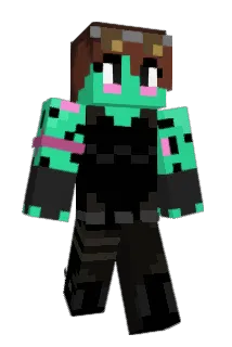 021_358 Minecraft avatar full body