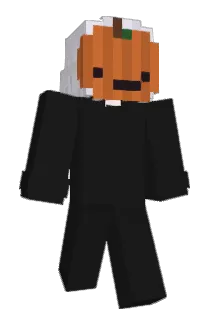 0276 Minecraft avatar full body