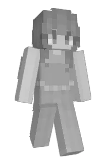 02d Minecraft avatar full body