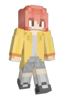 02l016 Minecraft avatar full body