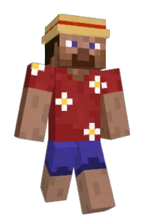 0463 Minecraft avatar full body