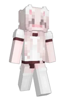 04817 Minecraft avatar full body