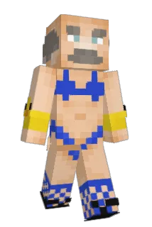 051YM Minecraft avatar full body
