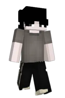 07d7 Minecraft avatar full body