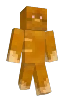 0801009 Minecraft avatar full body