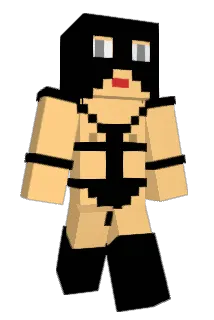 092397 Minecraft avatar full body
