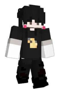 0953 Minecraft avatar full body