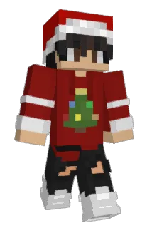 0Anonymous Minecraft avatar full body
