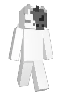 0Dui Minecraft avatar full body