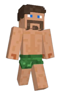 0Pega Minecraft avatar full body