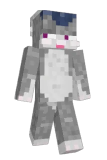 0_KODA_0 Minecraft avatar full body