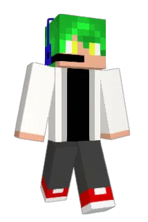 0_REI Minecraft avatar full body