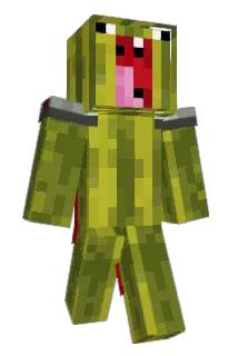 0neDozen Minecraft avatar full body