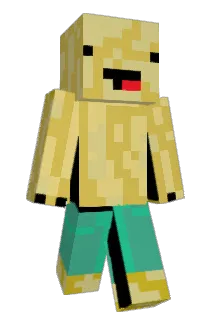 0ni0n5 Minecraft avatar full body