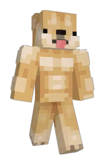 0p_oS Minecraft avatar full body