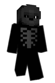 0rook0 Minecraft avatar full body
