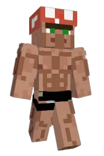 0rug Minecraft avatar full body