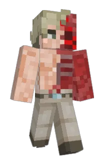 0ual Minecraft avatar full body