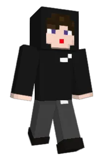 100211 Minecraft avatar full body