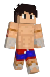 Skin preview