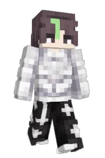 100626 Minecraft avatar full body