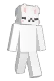 100T19 Minecraft avatar full body