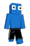 100bobson Minecraft avatar full body