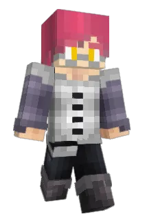 100froidd Minecraft avatar full body
