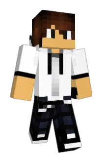 1010aaro Minecraft avatar full body