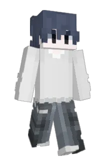 101DANI Minecraft avatar full body