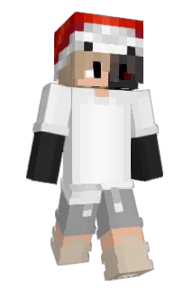 101ZEHCIK Minecraft avatar full body