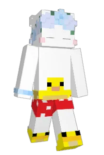 101_ Minecraft avatar full body