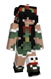Skin preview