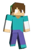 SAIDEN_PLAYER