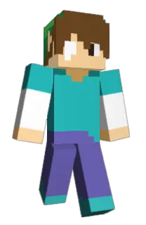 Front of SAIDEN_PLAYER's skin