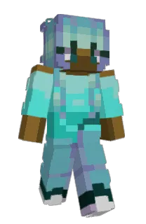 Front of logravity's skin
