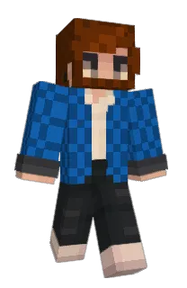Front of FL3ABAG's skin