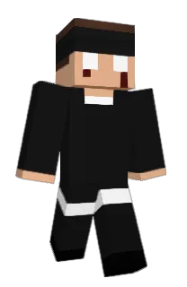 Front of Verify's skin